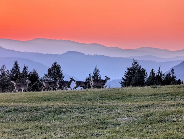 property view of mountains featuring a rural view