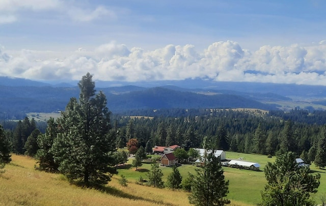 717 Conrad Hill Way, Colville, WA 99114 - view of mountain background with a heavily wooded area
