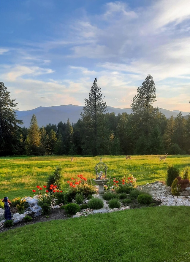717 Conrad Hill Way, Colville, WA 99114 - view of green lawn featuring a mountain view