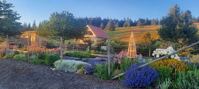 717 Conrad Hill Way, Colville, WA 99114 - view of front of home with a vegetable garden and metal roof