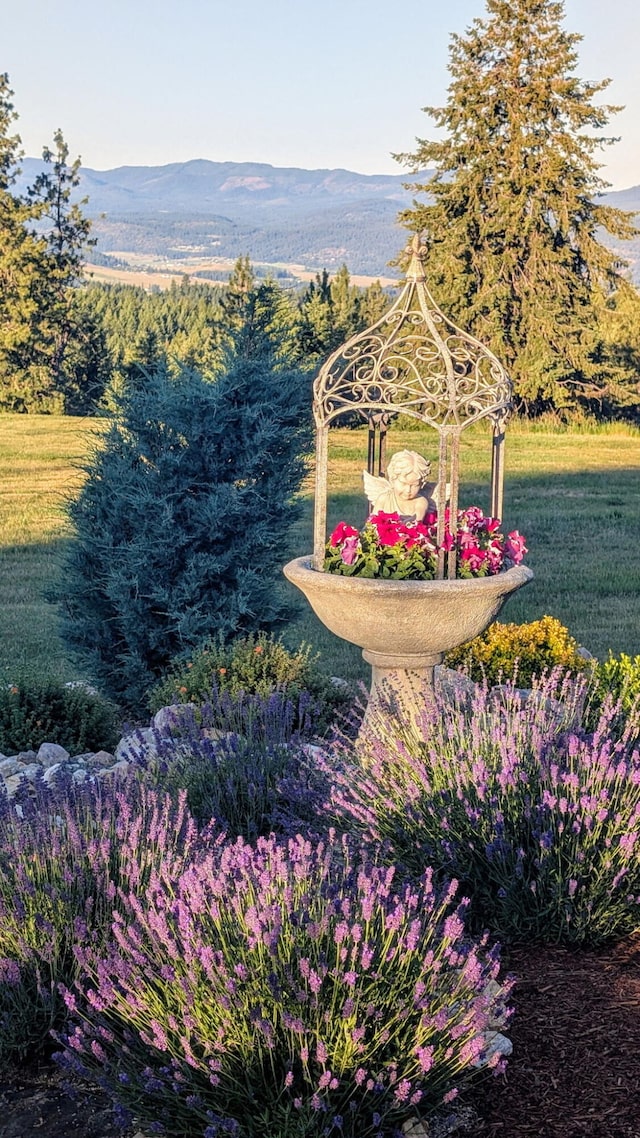717 Conrad Hill Way, Colville, WA 99114 - surrounding community featuring a mountain view