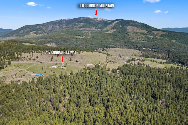 property view of mountains with a forest view