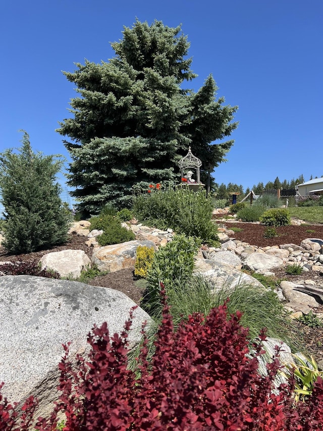 717 Conrad Hill Way, Colville, WA 99114 - view of yard