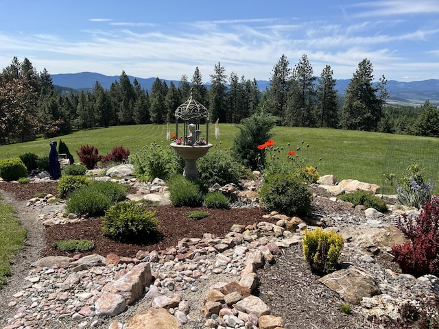 717 Conrad Hill Way, Colville, WA 99114 - view of green lawn with a mountain view