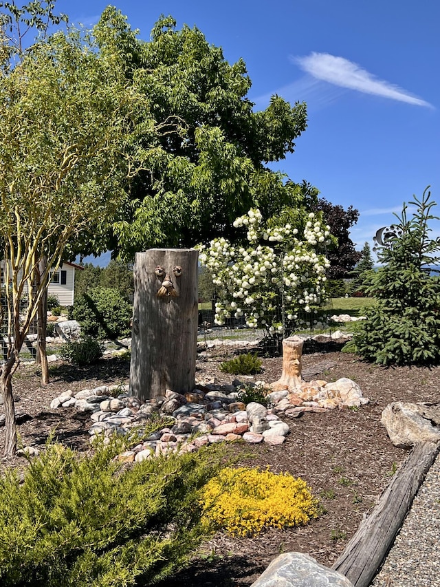 717 Conrad Hill Way, Colville, WA 99114 - view of yard