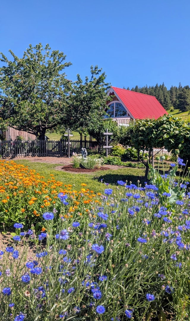 717 Conrad Hill Way, Colville, WA 99114 - view of yard