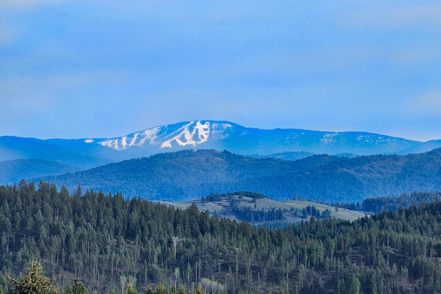 717 Conrad Hill Way, Colville, WA 99114 - view of mountain backdrop featuring a forest