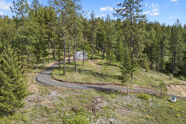 view of yard with a forest view