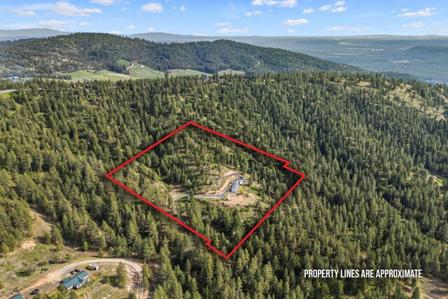 aerial view featuring a wooded view and a mountain view