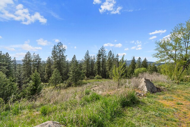 view of landscape with a forest view