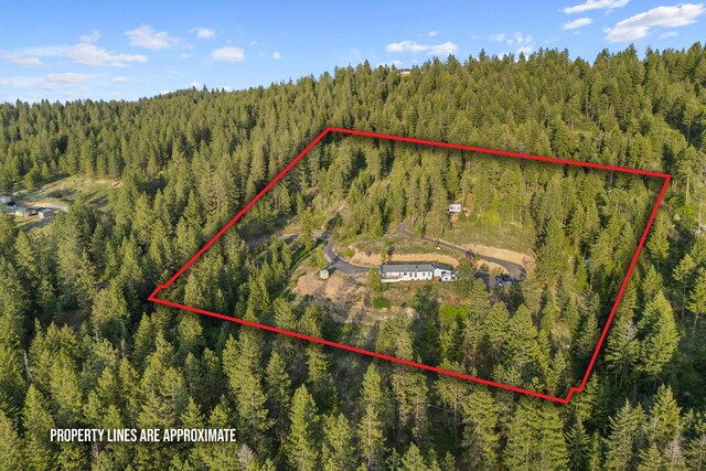 aerial view featuring a forest view