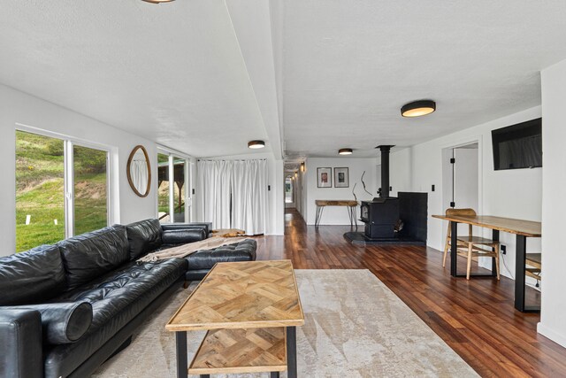 1625 Bear Mountain Way, Kettle Falls, WA 99141 - living room with a wood stove and wood finished floors