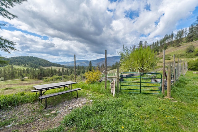 1625 Bear Mountain Way, Kettle Falls, WA 99141 - view of home's community with fence, a gate, a mountain view, and a rural view