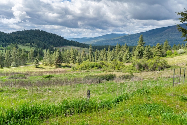 1625 Bear Mountain Way, Kettle Falls, WA 99141 - property view of mountains with a forest view