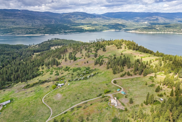 1625 Bear Mountain Way, Kettle Falls, WA 99141 - bird's eye view with a water and mountain view