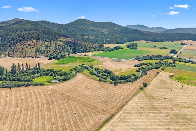 1983 Heine Rd, Chewelah, WA 99109 - photo 49
