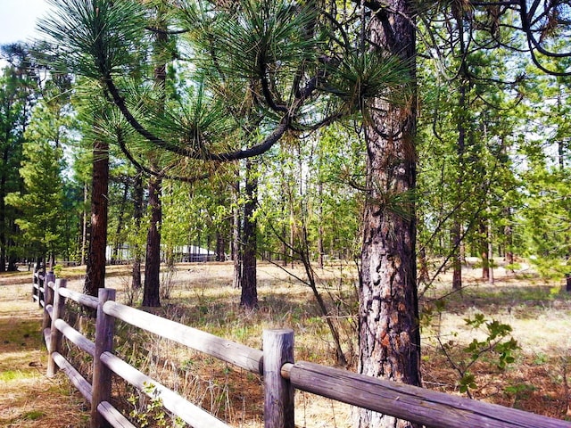 11 Crestview Dr, Kettle Falls, WA 99141 - view of yard
