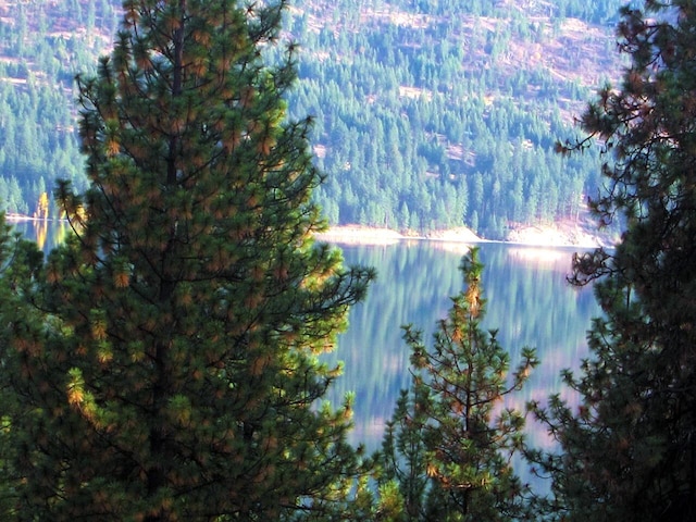 11 Crestview Dr, Kettle Falls, WA 99141 - water view featuring a forest