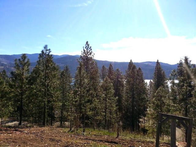 11 Crestview Dr, Kettle Falls, WA 99141 - view of mountain backdrop featuring a heavily wooded area