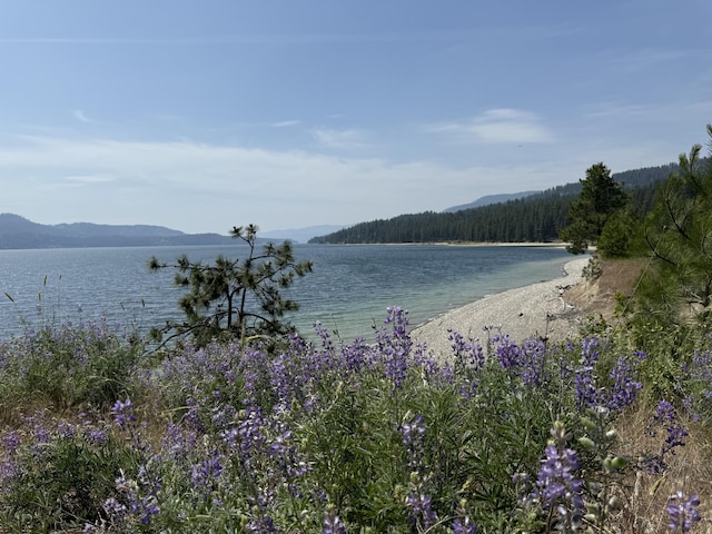 11 Crestview Dr, Kettle Falls, WA 99141 - water view with a mountainous background and a forest