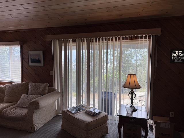 11 Crestview Dr, Kettle Falls, WA 99141 - living room with wooden walls and carpet