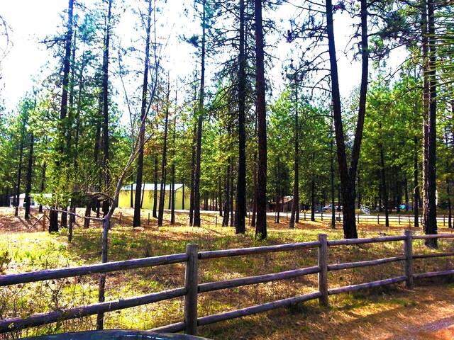 11 Crestview Dr, Kettle Falls, WA 99141 - view of community
