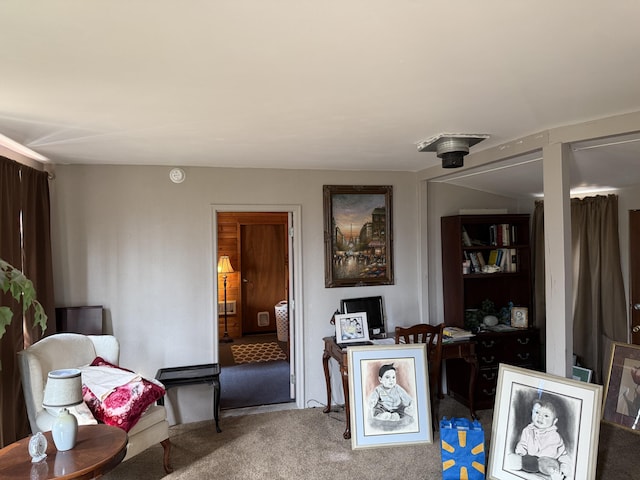 11 Crestview Dr, Kettle Falls, WA 99141 - sitting room featuring carpet