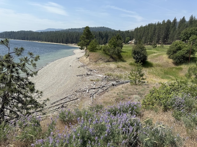 11 Crestview Dr, Kettle Falls, WA 99141 - water view featuring a forest