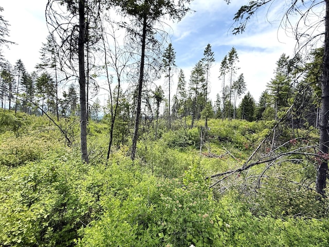 TBD Rockabye Lane, Curlew, WA 99118