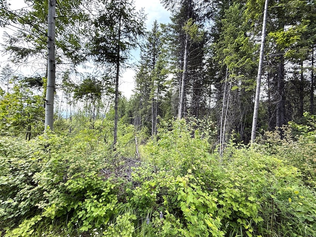 TBD Rockabye Lane, Curlew, WA 99118