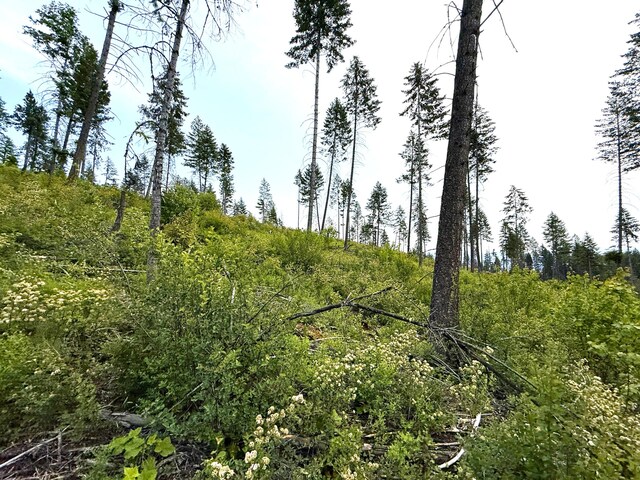 TBD Rockabye Lane, Curlew, WA 99118