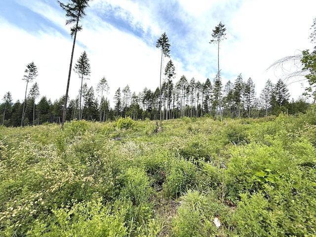 TBD Rockabye Lane, Curlew, WA 99118