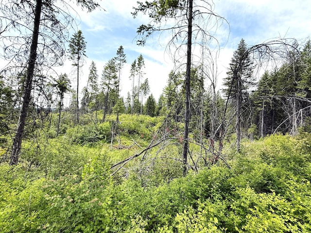 TBD Rockabye Lane, Curlew, WA 99118