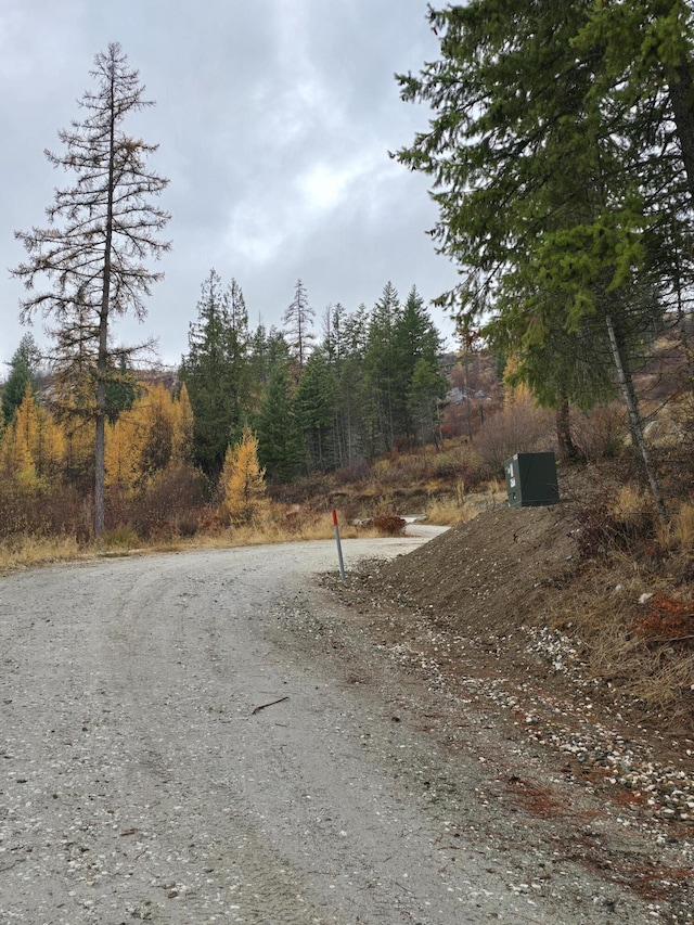 974 Skyview Way, Colville WA, 99114 land for sale