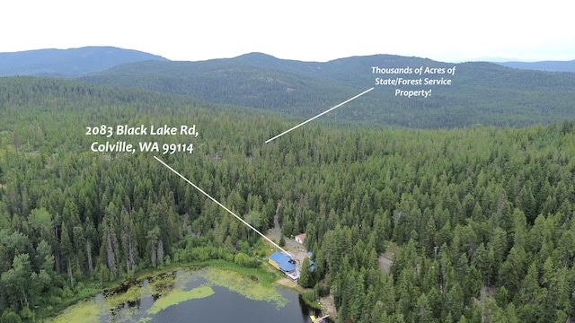 2083 Black Lake Rd, Colville, WA 99114 - photo 74