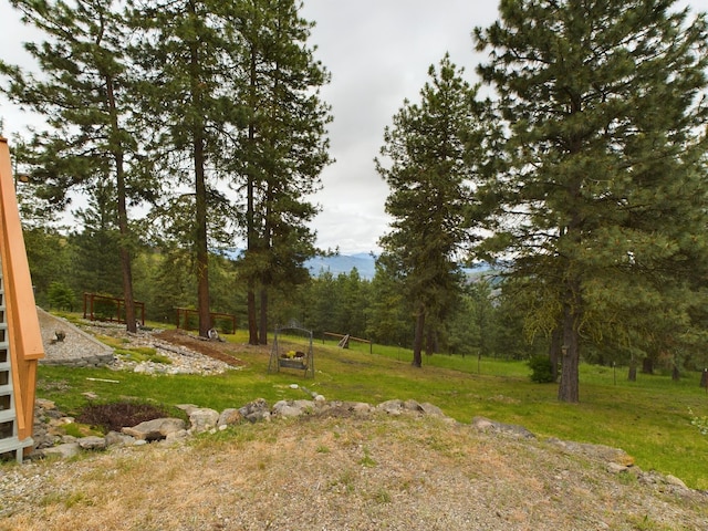 156 Gold Mountain Rd, Republic, WA 99166 - view of yard