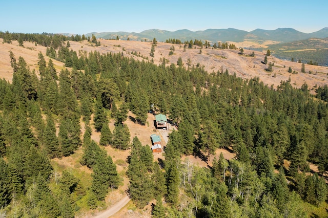 bird's eye view with a mountain view