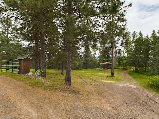 156 Gold Mountain Rd, Republic, WA 99166 - view of yard