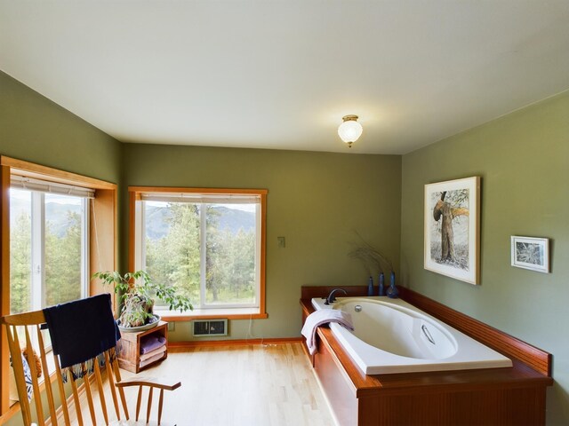 bathroom featuring a washtub, a wealth of natural light, and wood-type flooring