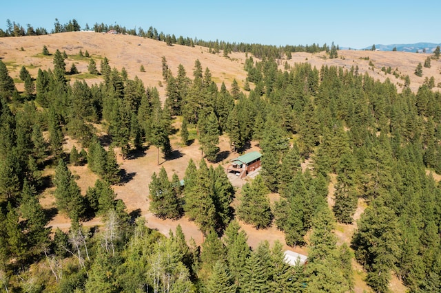 156 Gold Mountain Rd, Republic, WA 99166 - bird's eye view