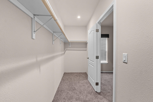 906 Valley Ave, Chewelah, WA 99109 - walk in closet featuring carpet flooring