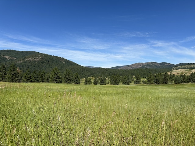 1239 Kewa Meteor Rd, Inchelium, WA 99138 - mountain view with a heavily wooded area and rural landscape