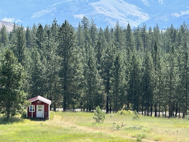 1239 Kewa Meteor Rd, Inchelium, WA 99138 - mountain view featuring a heavily wooded area
