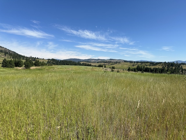 1239 Kewa Meteor Rd, Inchelium, WA 99138 - view of undeveloped land with a mountainous background and rural landscape