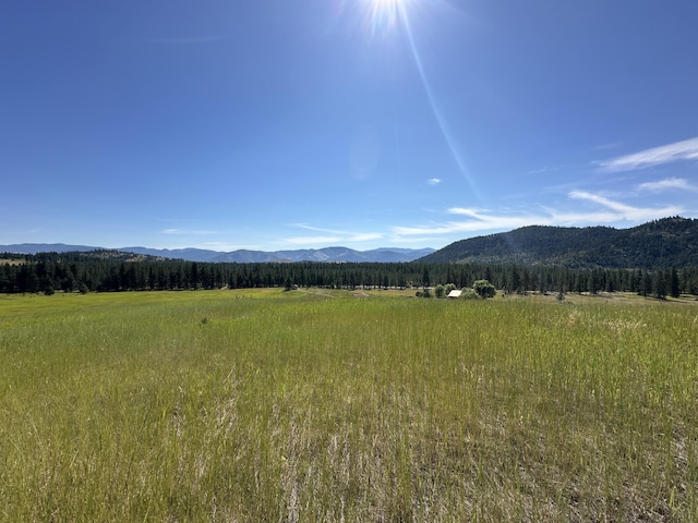 1239 Kewa Meteor Rd, Inchelium, WA 99138 - view of mountain backdrop featuring rural landscape