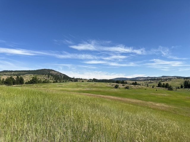 1239 Kewa Meteor Rd, Inchelium, WA 99138 - view of mountain background featuring rural landscape
