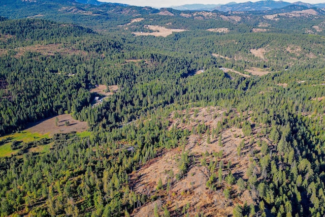 3401 Red Marble Rd, Chewelah, WA 99109