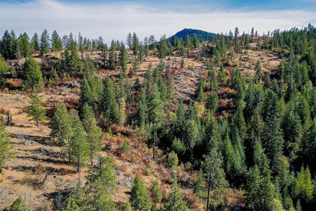 3401 Red Marble Rd, Chewelah, WA 99109