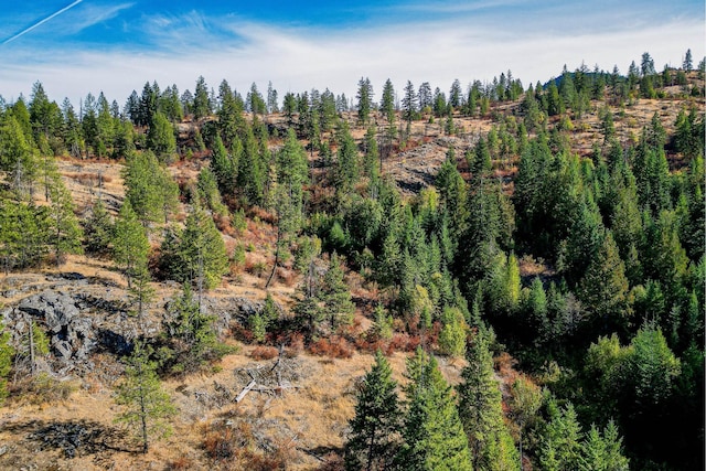 3401 Red Marble Rd, Chewelah, WA 99109