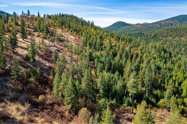3401 Red Marble Rd, Chewelah, WA 99109